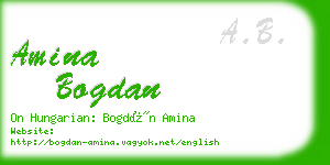 amina bogdan business card